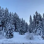 Cedar Next To Lift One Bedroom Διαμέρισμα *