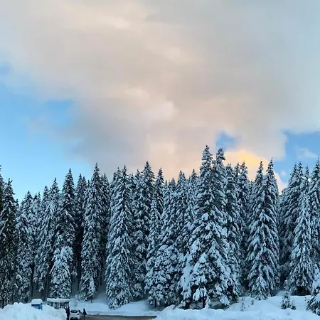 Cedar Next To Lift One Bedroom Appartamento