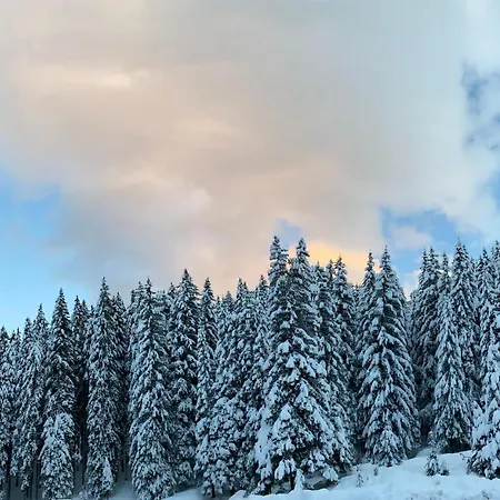 Cedar Next To Lift One Bedroom Appartamento