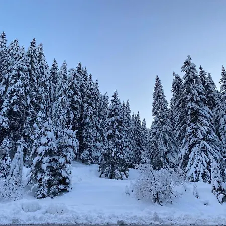 Cedar Next To Lift One Bedroom Appartamento *