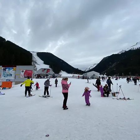 Cedar Next To Lift One Bedroom Daire Bansko