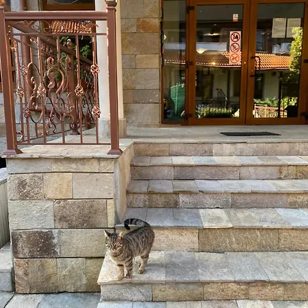 Appartamento Cedar Next To Lift One Bedroom Bansko