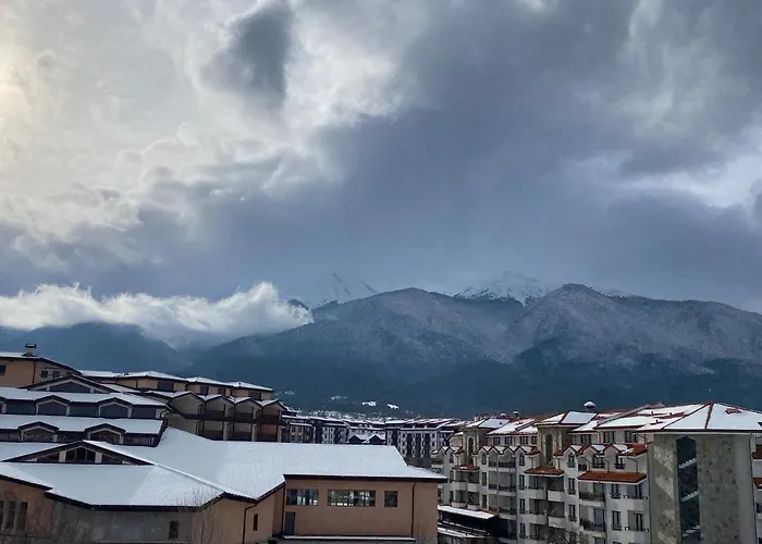 Cedar Next To Lift One Bedroom * Bansko