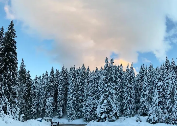 Cedar Next To Lift One Bedroom Daire