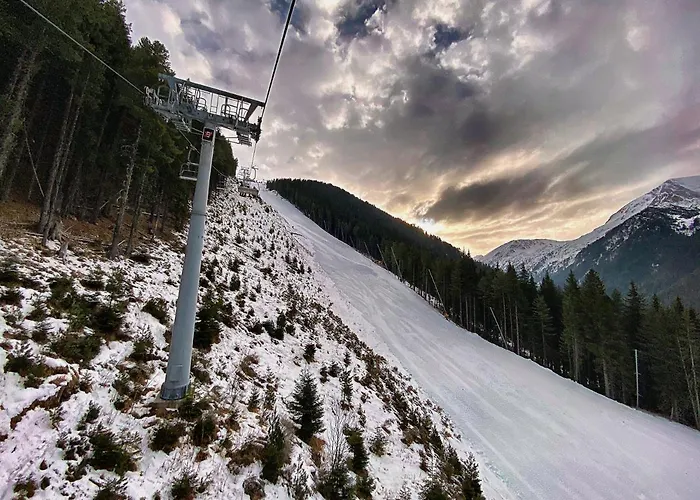 Cedar Next To Lift One Bedroom Daire