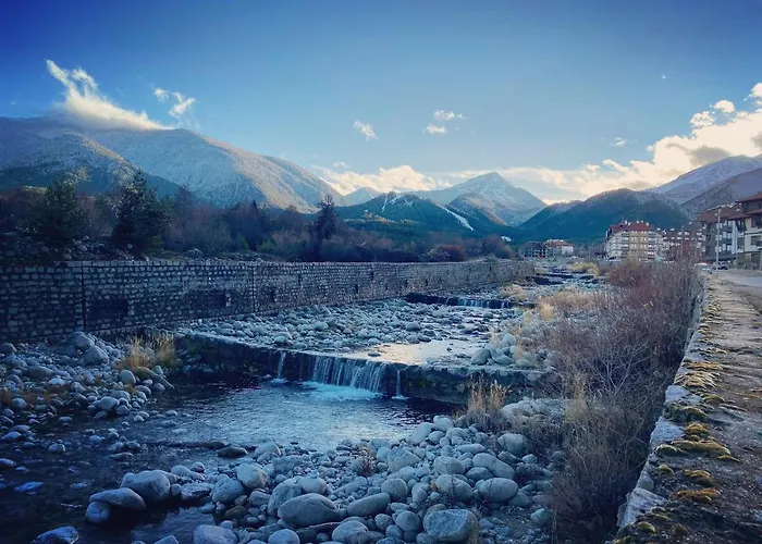 Cedar Next To Lift One Bedroom Daire Bansko