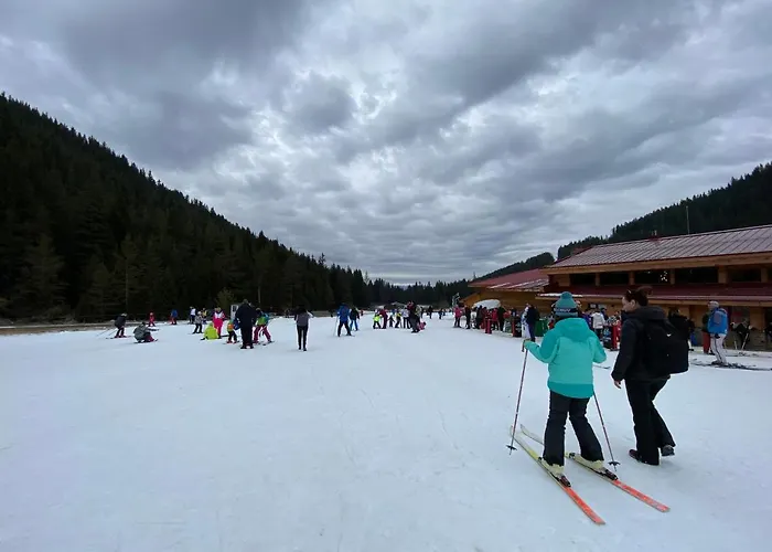 Daire Cedar Next To Lift One Bedroom