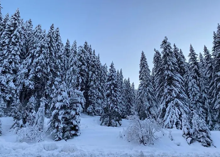 Cedar Next To Lift One Bedroom Daire *