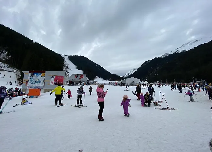 Cedar Next To Lift One Bedroom Daire Bansko