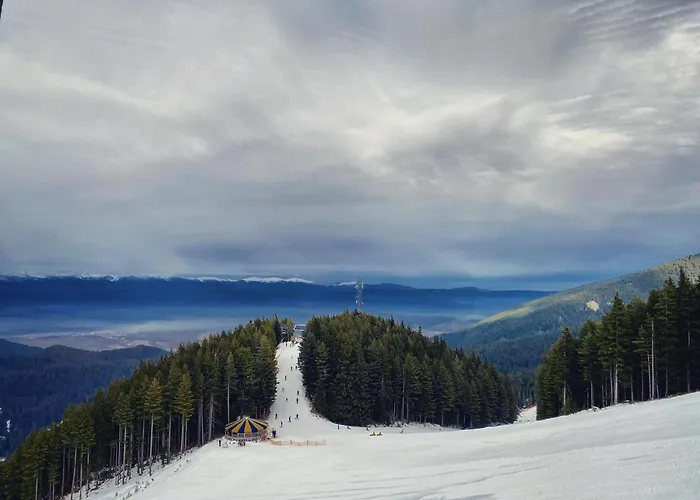 Cedar Next To Lift One Bedroom Bansko