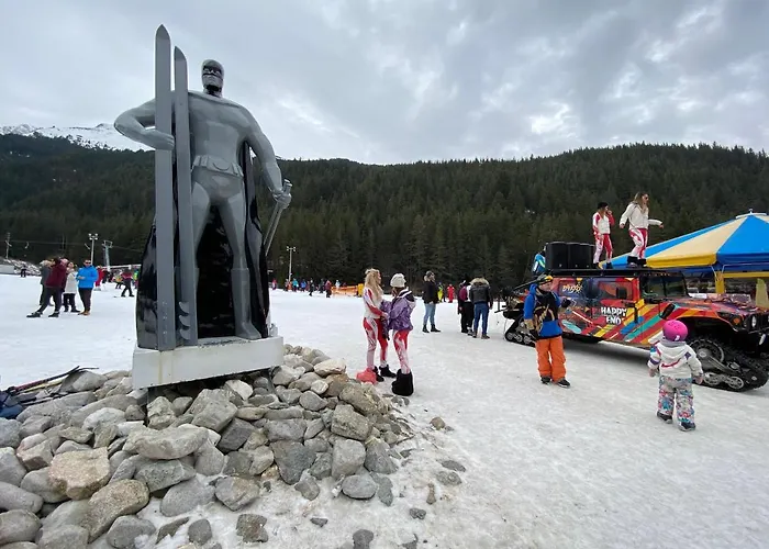 Cedar Next To Lift One Bedroom Daire