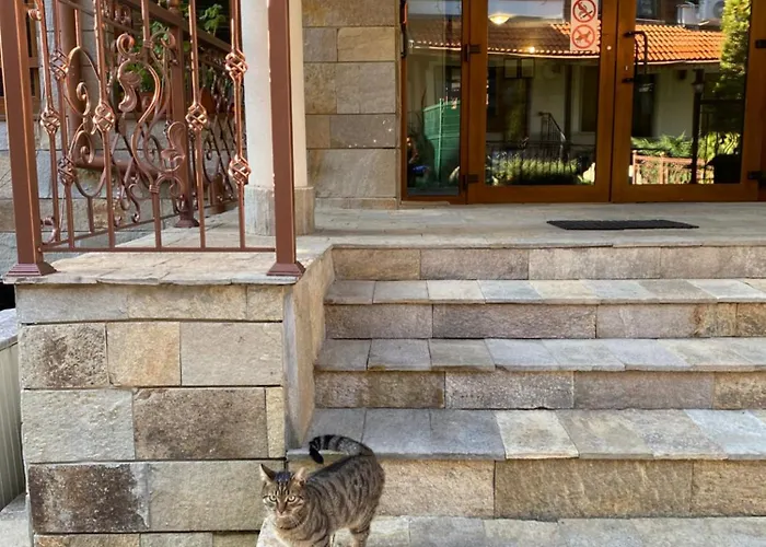 Daire Cedar Next To Lift One Bedroom Bansko